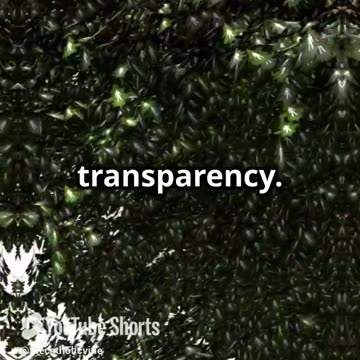 Faith Under Attack! Vatican's Controversial China Deal