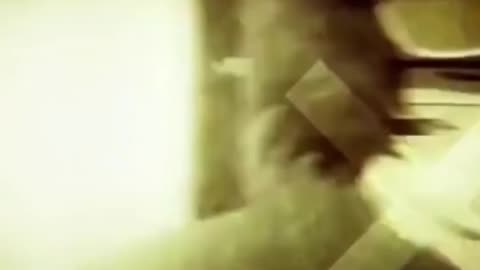 Anime edit 2022
