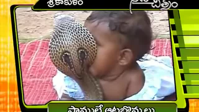 Children playing with snakes