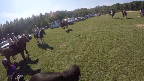 Celestial Times Equine - Rally 2017