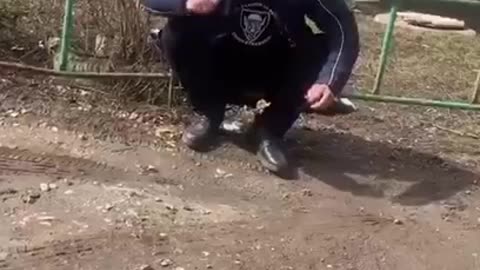 In Russia, everything is stable