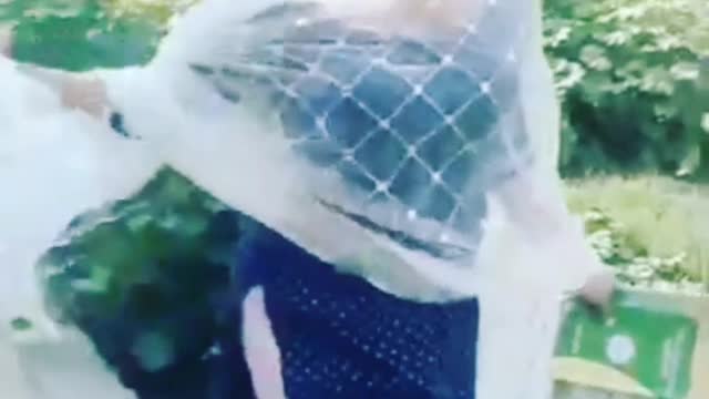 Short video