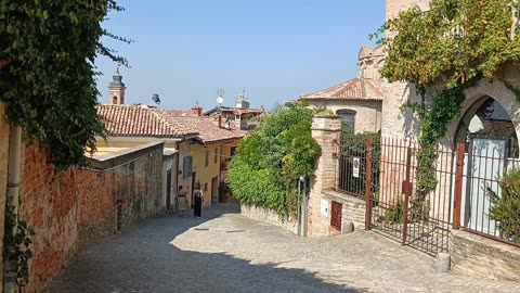 Neive , Cuneo | Langhe| The best vineyards in Italy