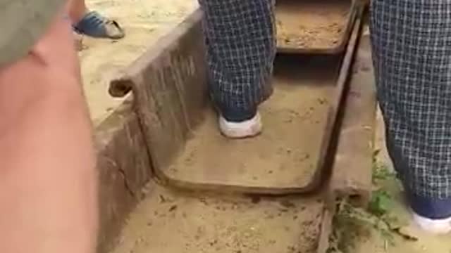 Rescuing a Trapped Puppy from under a Heavy Bar