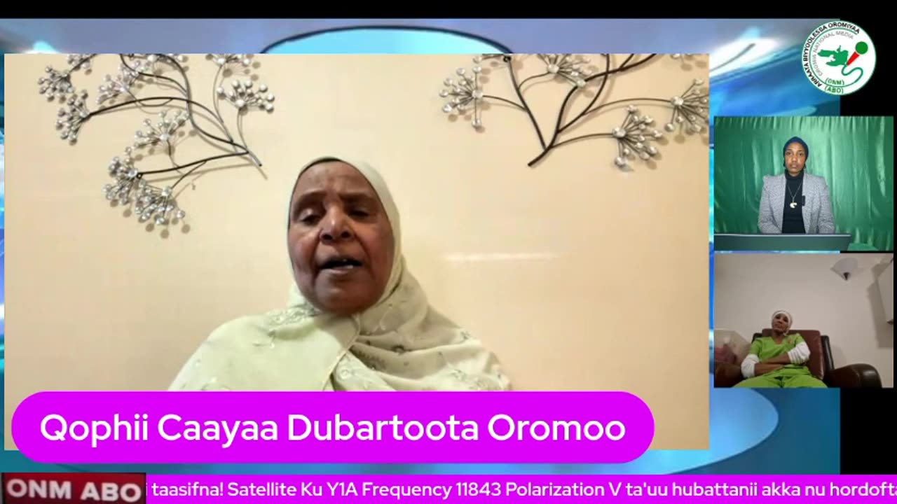 Qophii Caayaa Dubartoota Oromo ONM-ABO Muddee 11-2024 itti dhiyaadhaa!