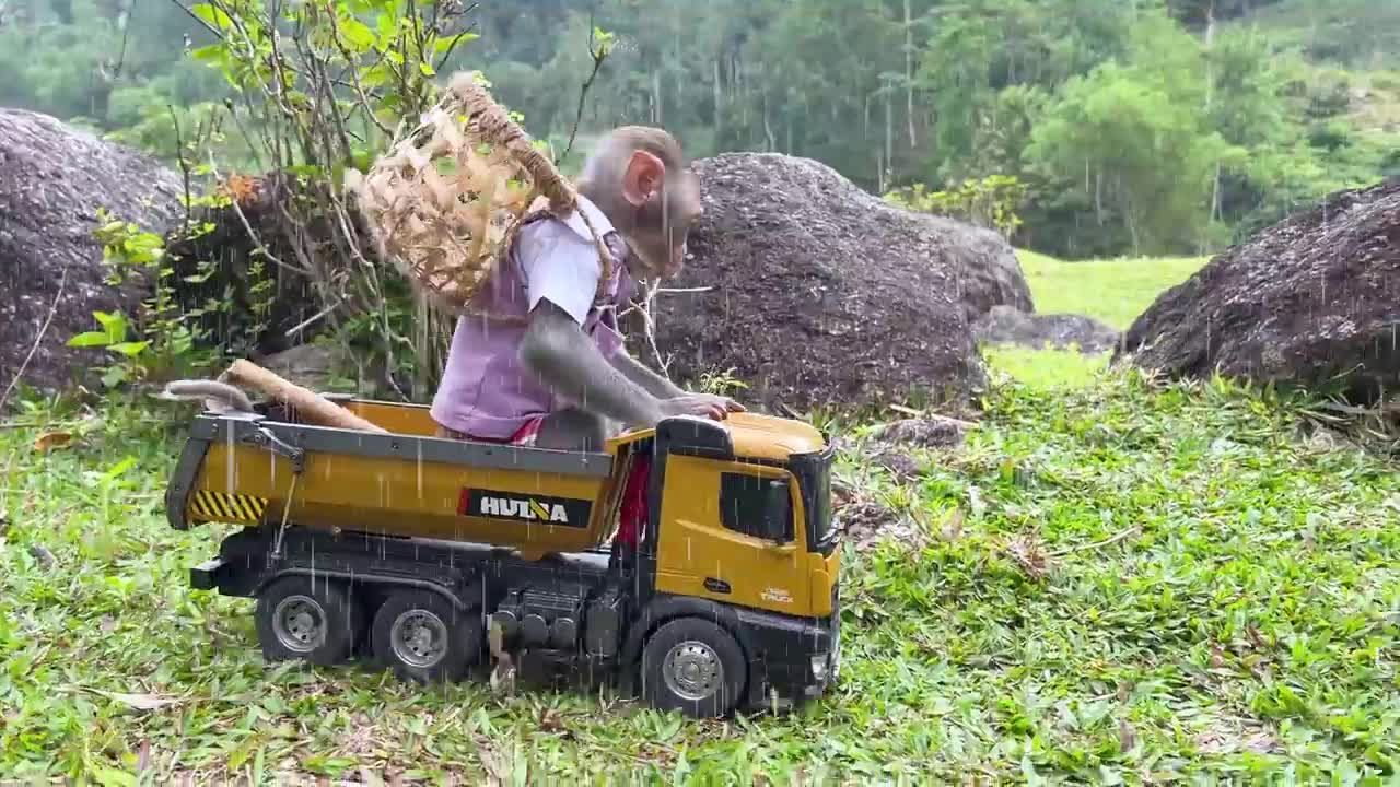 Smart Monkey Work