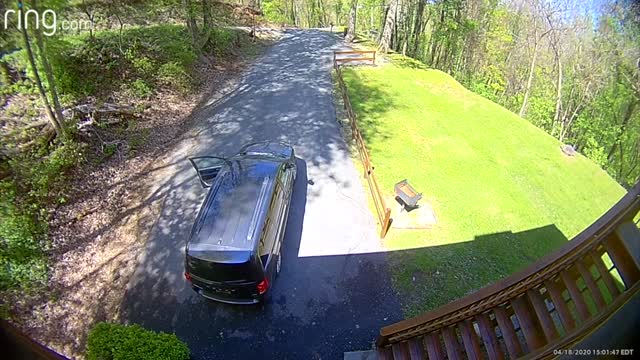 Bear Breaks Into Minivan to Finish off Frappé