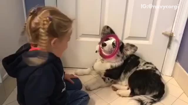Child puts pink circle around grey and black dog's face