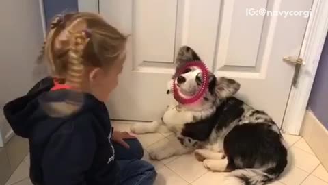 Child puts pink circle around grey and black dog's face
