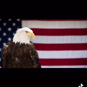 My Body, My Choice, vac-sin sucks