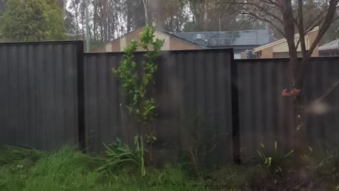 Storm Steals A Fence