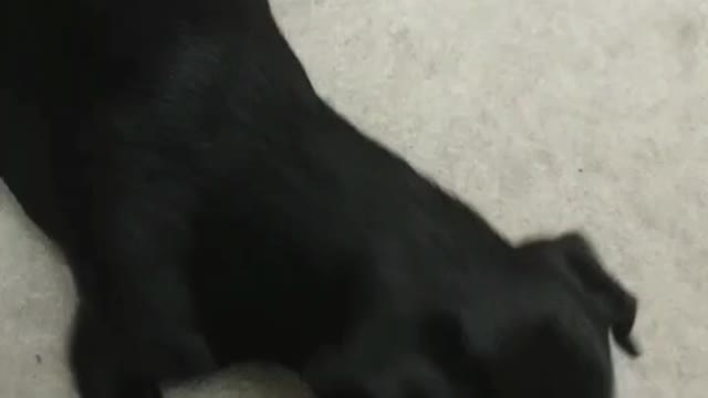 DON'T WANT TO SHARE