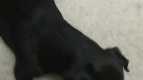 DON'T WANT TO SHARE