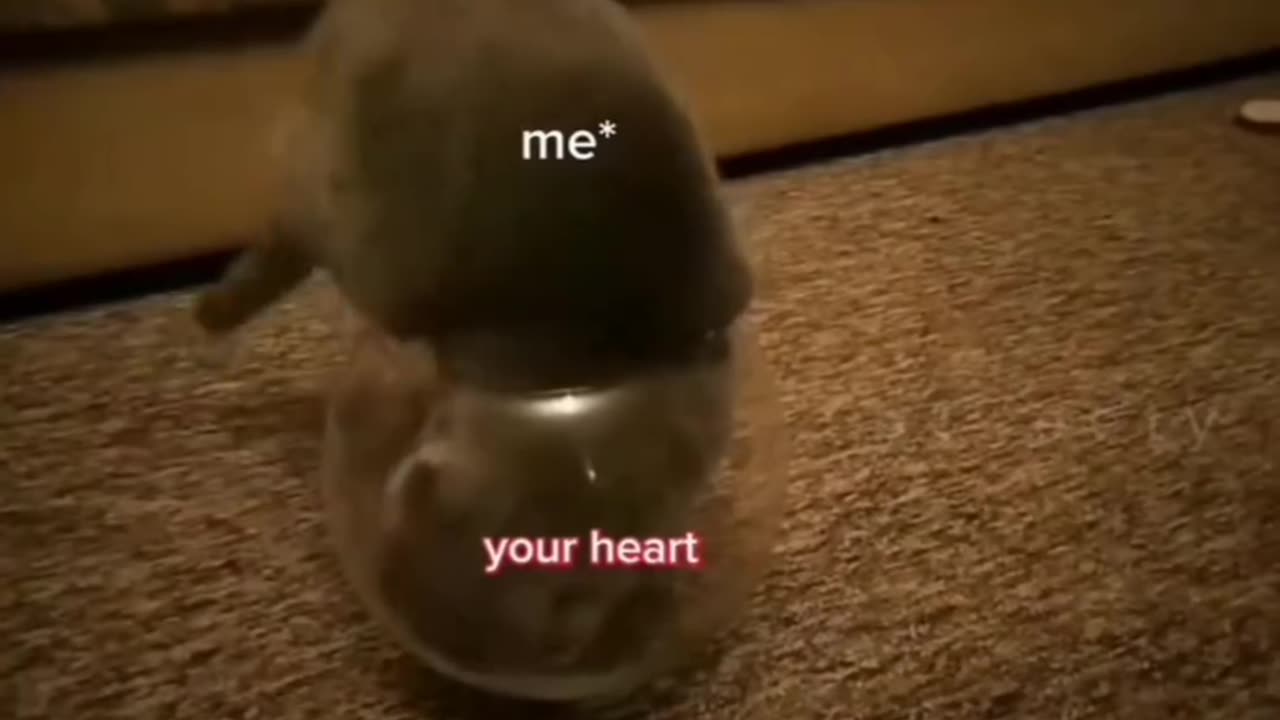 You and i.....