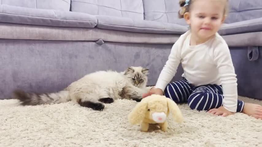 Baby_and_Cat_Reaction_to_a_New_Toy