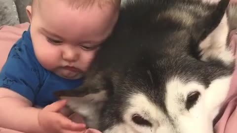 The little owner lies on the bed and plays with the dog's ears