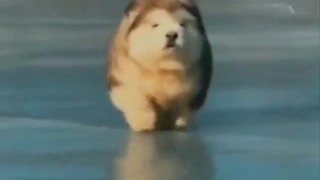 Look out...here I come. ππΆπ§