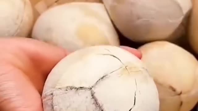 Everyone learned how to crack a coconut #atsvlog#shortvideo