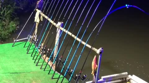 Amazing Fishing Technique!!