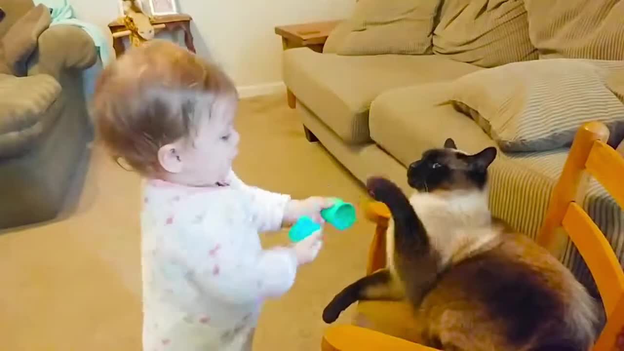 Baby VS Cat funny video_ part-15_(720HD).mp4