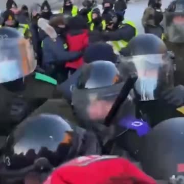 police trampel older lady in ottawa with horse