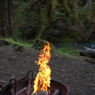 Everyone has a story