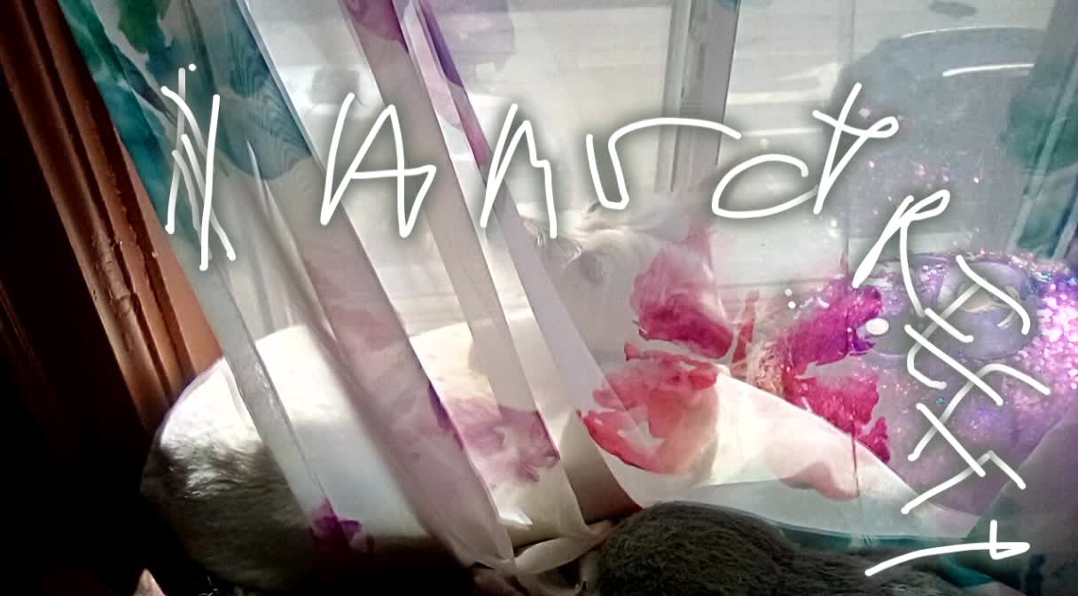 today video