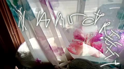 today video