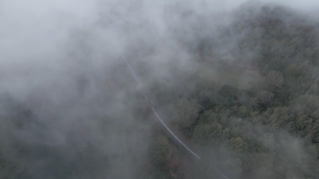 Above View of a Misty Forest