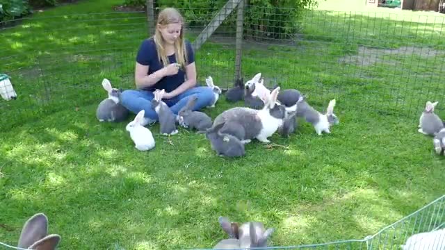 A lovely zoo. They are really big!