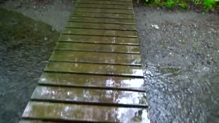 Foot Bridge