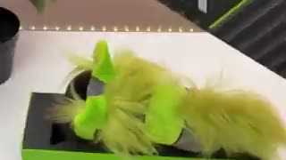 Man Opens RTX 2080 Ti Box And Finds Plushie Then Throws It At The Wall (Not Mine)