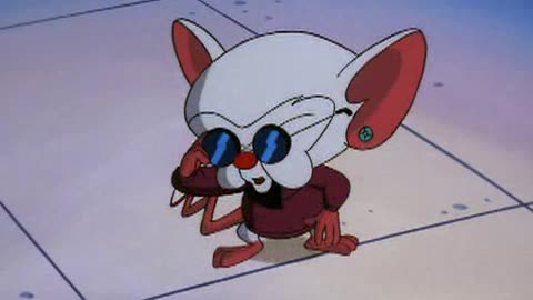 Pinky e o Cerebro - Temporada 01 - Episodio 15 - Figurinha do Cérebro