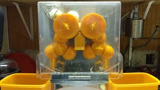 Lemons getting squeezed