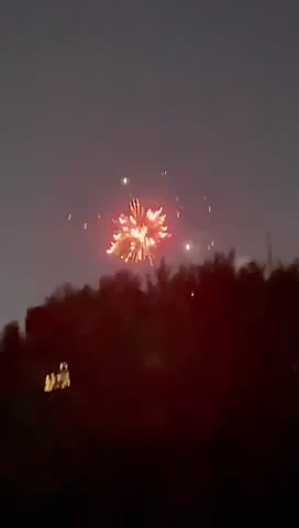 Fireworks bloom