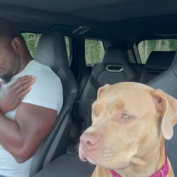 SHe’s feeling that song