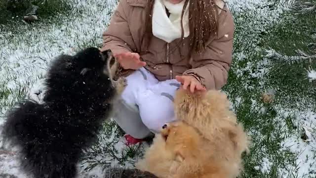 baby with the cute dogs