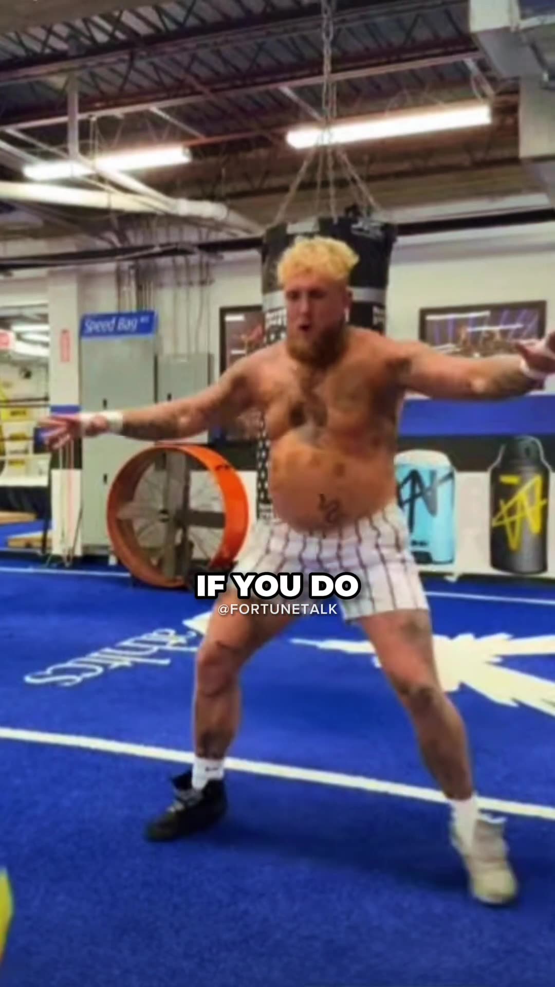 Joe Rogan EXPOSES Jake Paul