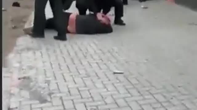 German police "democratic"behaviour
