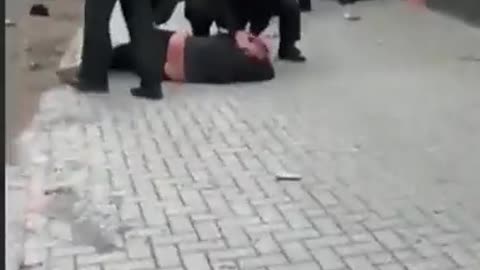 German police "democratic"behaviour