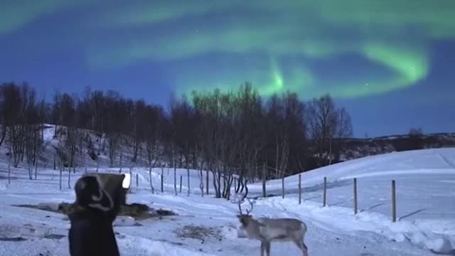 Relax a little while watching the stunning northern Lights.