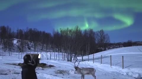 Relax a little while watching the stunning northern Lights.