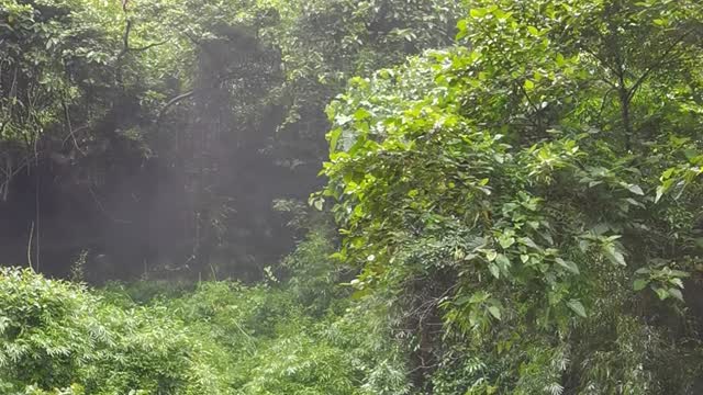 Philippines secret falls