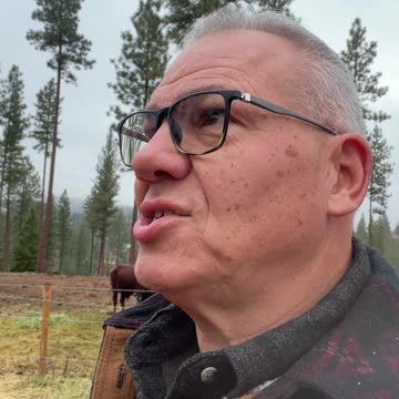 Good Morning from McKenzie Mountain 11-15-24