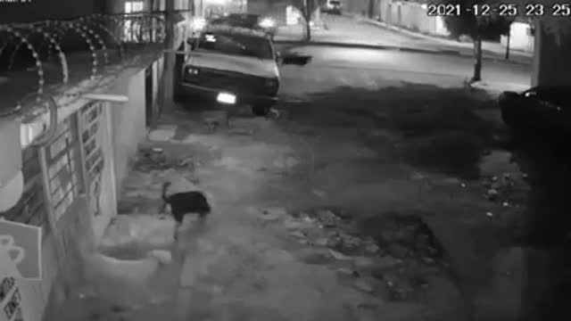 the neighborhood bullies