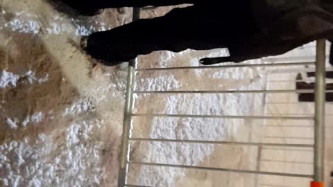 Otawawa Truckers Freedom Protest Feb 20 2022