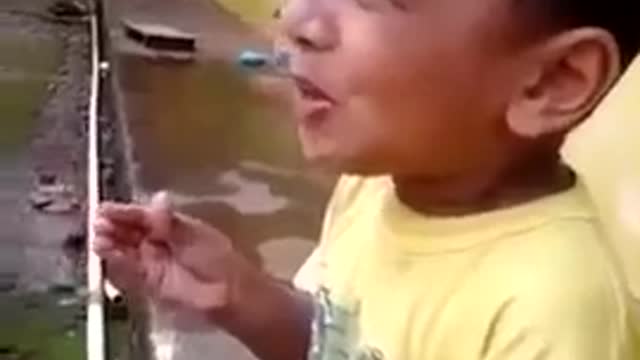 baby eating lemon