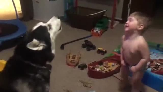 Dog and baby video