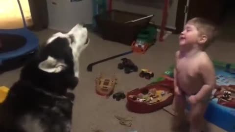 Dog and baby video