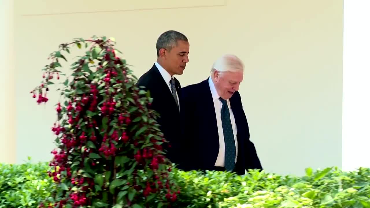 President Barack Obama Meets Sir David Attenborough | BBC Earth